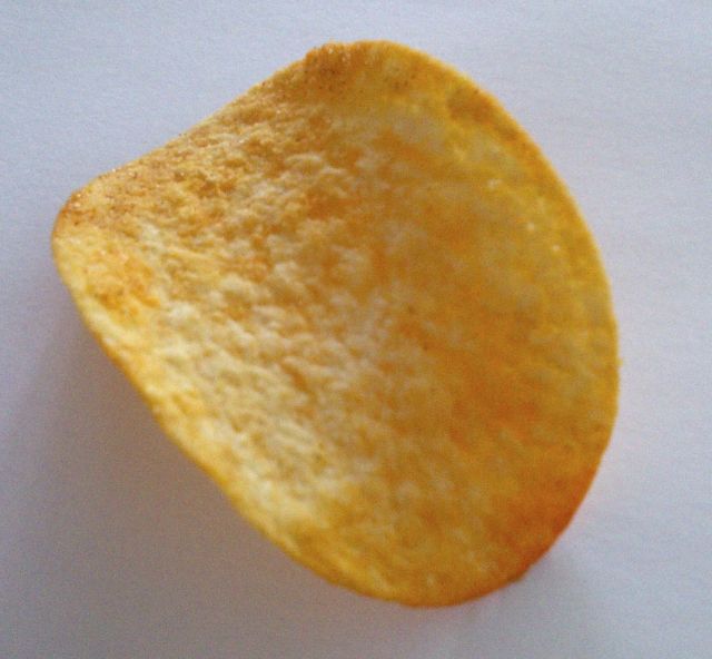 a single potato chip